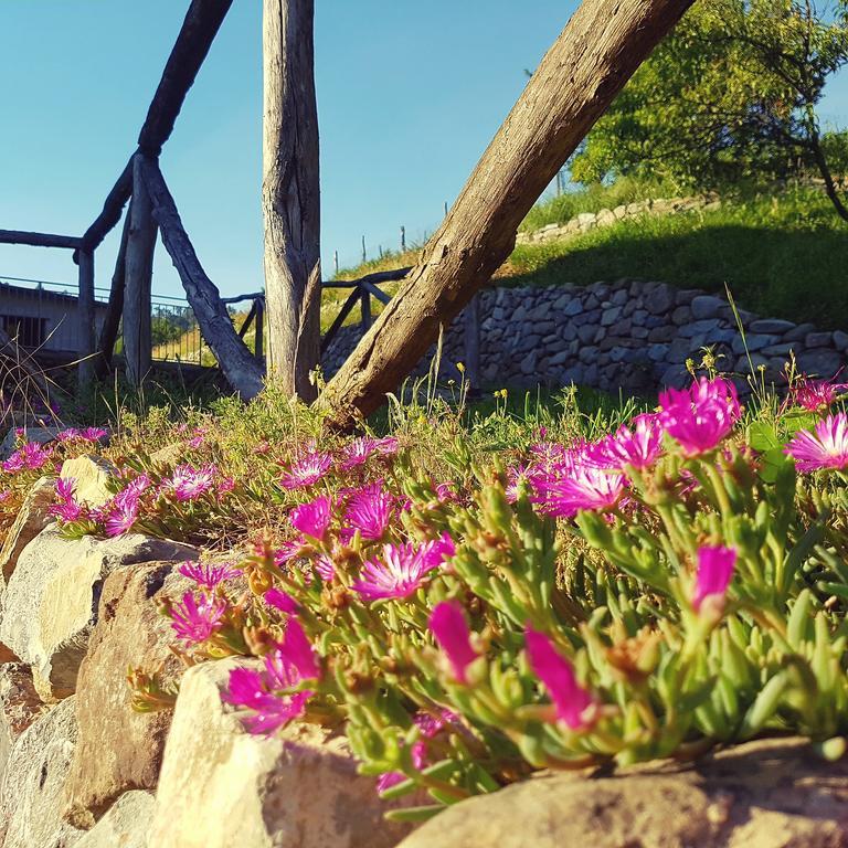 La Peschiera Sul Vara B&B Sesta Godano Exteriér fotografie
